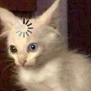 ���� Vlad, �����, 28 ��� - ��������� 18 ������ 2020