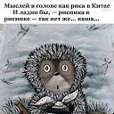 ���� ����, ��������� - ��������� 12 ������ 2020 � ������ ������