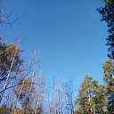 ���� �����, ������ - ��������� 26 ������� 2020 � ������ ���� ����������