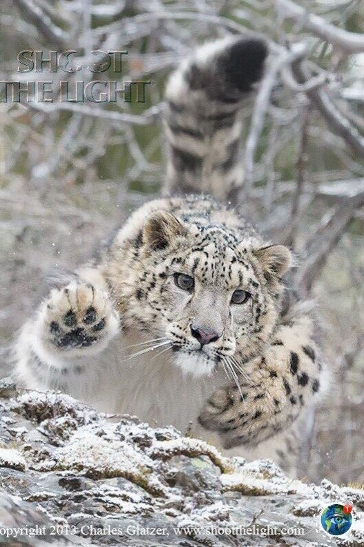 oopa eepoo  co c apco.  - 3