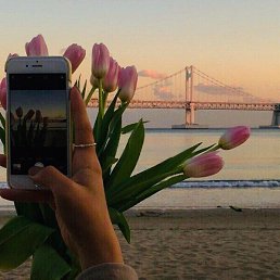 ���� ������, ������, 62 ���� - ��������� 19 ������� 2020