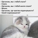 ���� Alex M, ��������� - ��������� 27 ������� 2020 � ������ �������