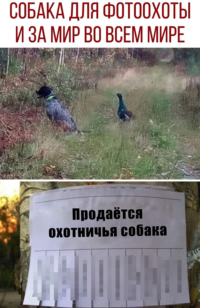 ������ - 13 ������� 2020 � 20:34
