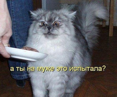    - 7  2021  20:42