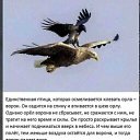 ���� ����, ���� - ��������� 11 ������� 2020 � ������ ������ ��������