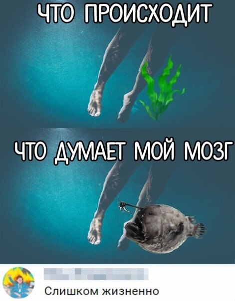 ☆   ☆ - 5  2021  00:09