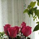 ���� ��������, �����������, 67 ��� - ��������� 25 ������ 2021 � ������ ���� ����������