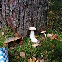 ���� �������, �����-���������, 65 ��� - ��������� 4 ������� 2020 � ������ �3 ������� 2020�