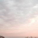 ���� �����, �����������, 40 ��� - ��������� 15 ������ 2021 � ������ ���� ����������