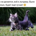 ���� ������, ������ - ��������� 4 ������� 2020 � ������ �� � ��