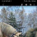 ���� �arika, ������, 55 ��� - ��������� 27 ������� 2020 � ������ ���� ����������
