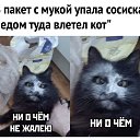 ���� �������, ������, 44 ���� - ��������� 19 ������� 2020