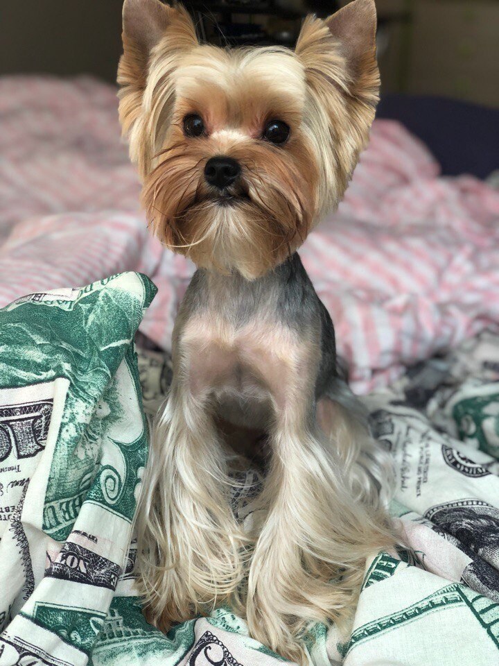 ����� �����