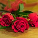  ,  , 67  -  23  2020    