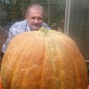 ���� �����, ������ - ��������� 27 ������� 2020 � ������ ���� ����������