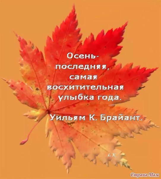   ,    . - 2  2020  20:53