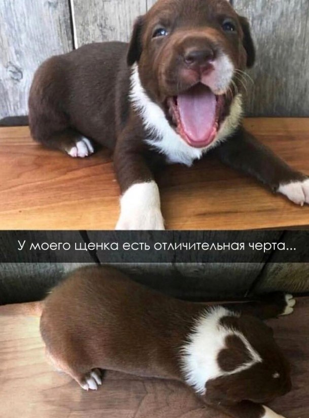   .