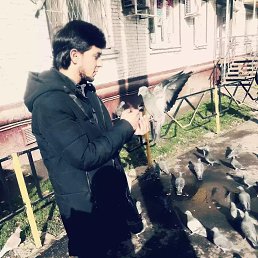 ���� �����, ������, 31 ��� - ��������� 11 ������ 2020