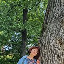 ���� �����, �������, 54 ���� - ��������� 21 ������� 2020 � ������ ���� ����������