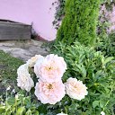 ���� Denis, �������� - ��������� 6 ������ 2020 � ������ ������ - ���� ))�