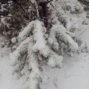 ���� �������, ��������� - ��������� 16 ������� 2020 � ������ ������ ��������