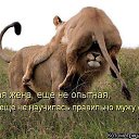 ���� ���� �����������, ������������, 58 ��� - ��������� 24 ������� 2020 � ������ ���������