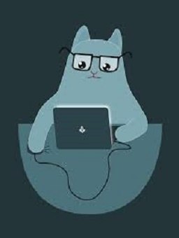 �����, �����������, 41 ���