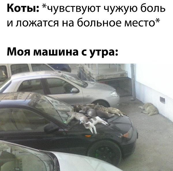 �� ���������� ���� ר! - 9 ������ 2020 � 15:52