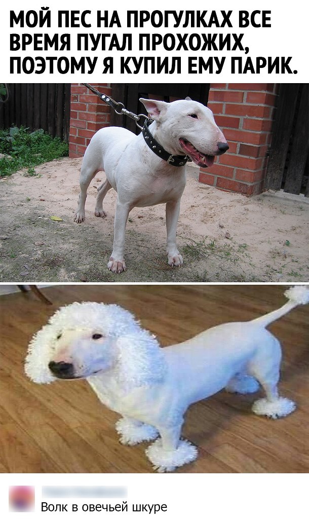    ר! - 5  2020  17:22