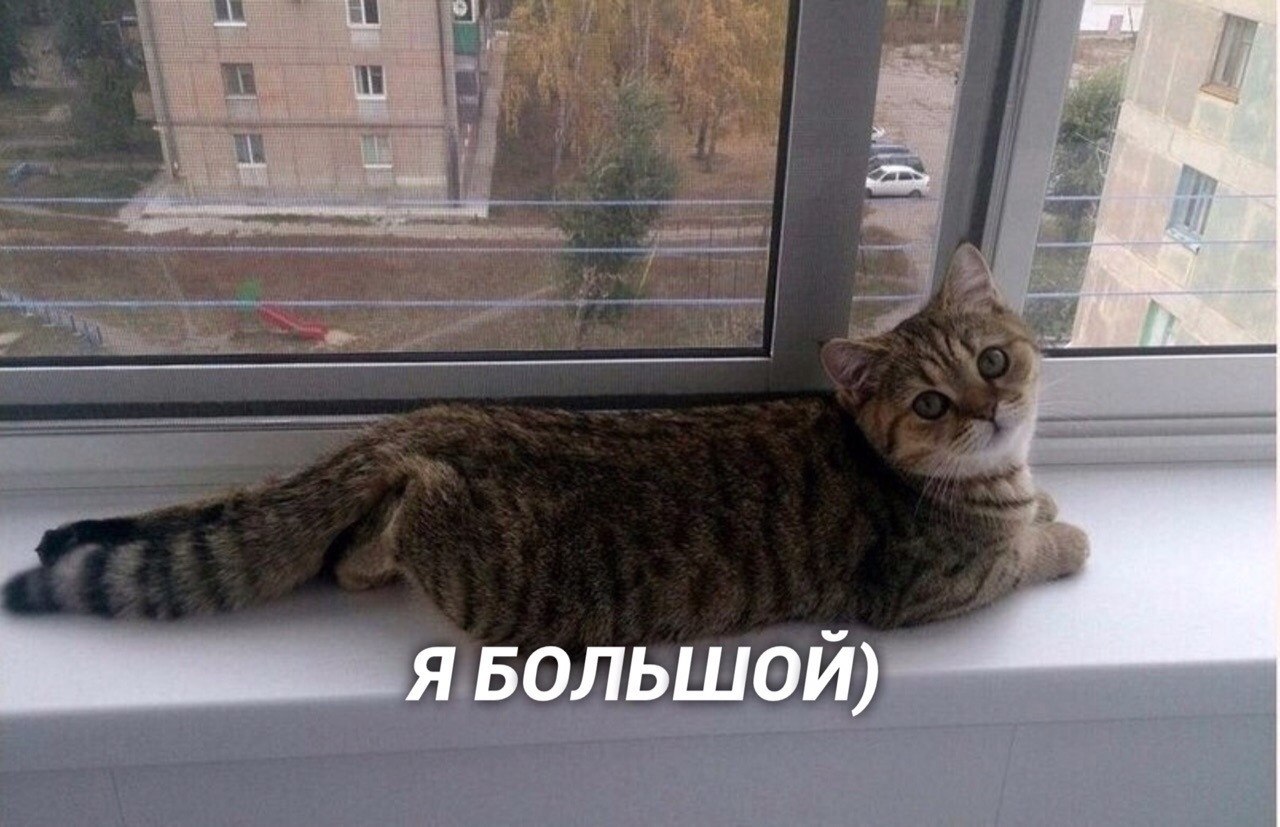  ! - 2