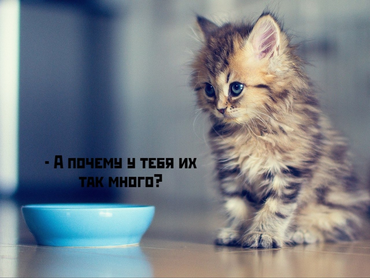       - 29  2020  19:17 - 3