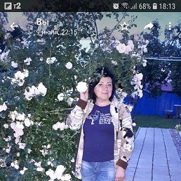 ���������, ����, 62 ����