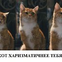  ,  -  7  2020   07.12.2020...   ..