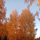 ���� ��������, ���� - ��������� 5 ������� 2020 � ������ ���� ����������