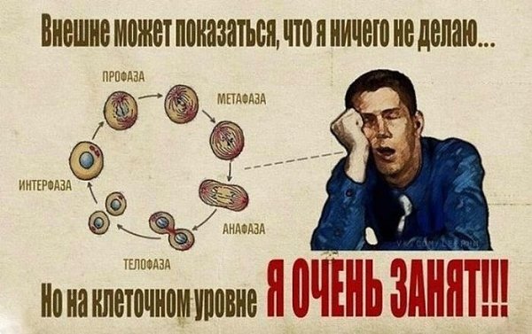 Обычно когда человек плохо выполняет свою работу, он возмущается:
