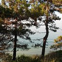 ���� Nadin, �������, 61 ��� - ��������� 4 ������� 2021 � ������ ������ ��������