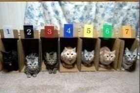   ! - 3
