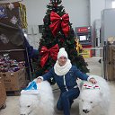 ���� �����, �����������, 51 ��� - ��������� 4 ������� 2020 � ������ ���� ����������