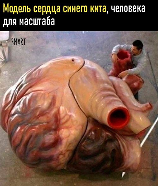 ������������, �� �a�� ����c���e �e��.B�e o ��y�� � �e����o���x - 4