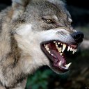 ���� Ը���, ���������, 43 ���� - ��������� 5 ������� 2020 � ������ ���� ����������