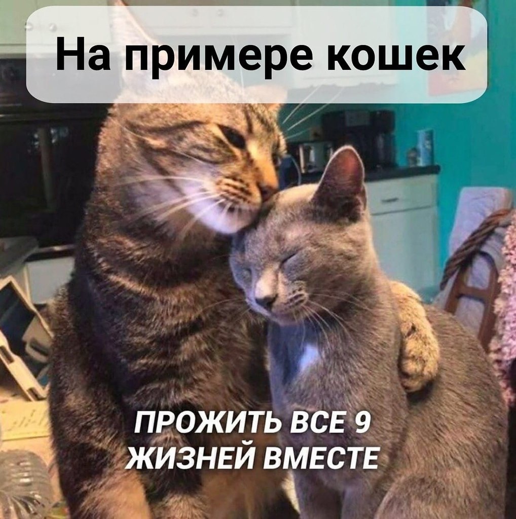 a жвaчaх “Lovе is” дoлжны были пpиклеить дpугиe изoбpaжeния.handmаde j
