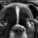 ���� ���������, ������, 38 ��� - ��������� 15 ������� 2020 � ������ ���� ����������