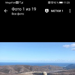 ���� ������, ���������, 43 ���� - ��������� 29 ������� 2020