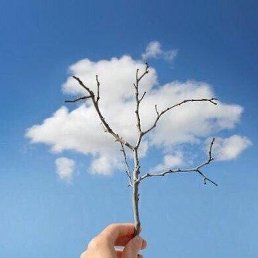 ���� �����, ����, 59 ��� - ��������� 16 ������ 2021