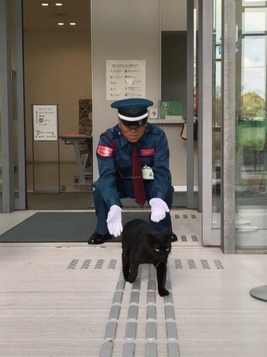 ,       ,    .  , ... - 2