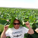 ���� ����, ������� - ��������� 21 ������ 2021 � ������ ���� ����������