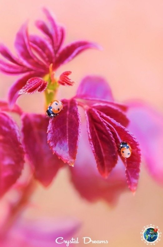  , o aa ec... epe cae pe !  - 3