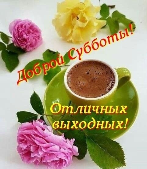   ,    . - 17  2020  12:19