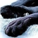 ���� �����, �����-��������� - ��������� 19 ����� 2021