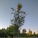 ���� ����, ����������, 53 ���� - ��������� 26 ������ 2020 � ������ ���� ����������